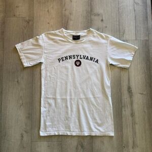 Pennsylvania college tee white preppy varsity y2k campus basic